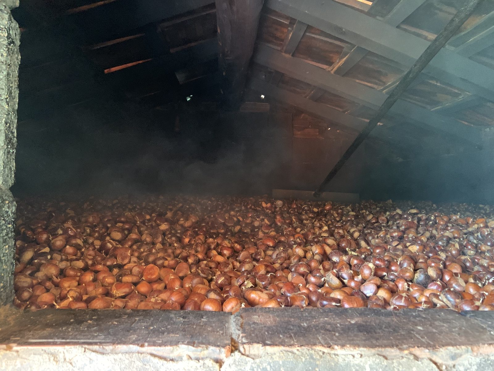Battitura delle castagne secche con il fumo del metato