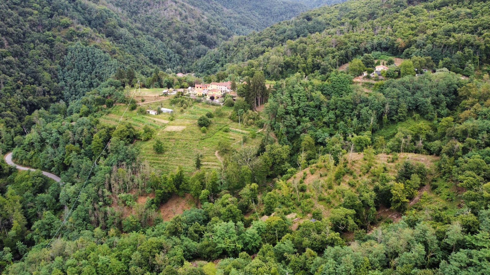Vista aerea estiva del borgo e del castagneto