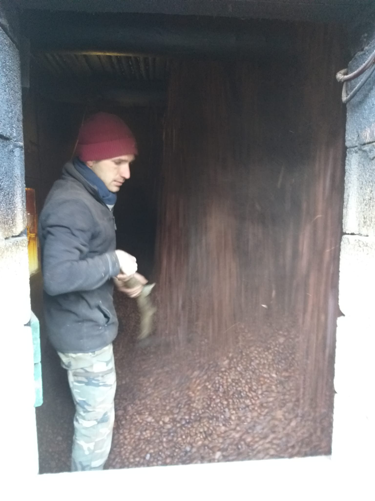 Giacomo verifica le castagne nel metato