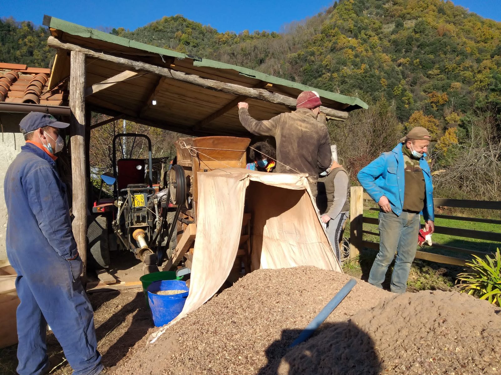 Squadra di lavoro al castagneto