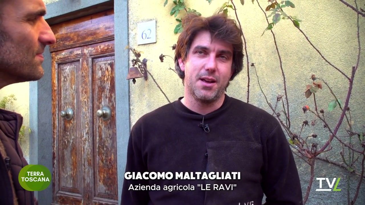 Giacomo Maltagliati intervistato da TVL Terra Toscana