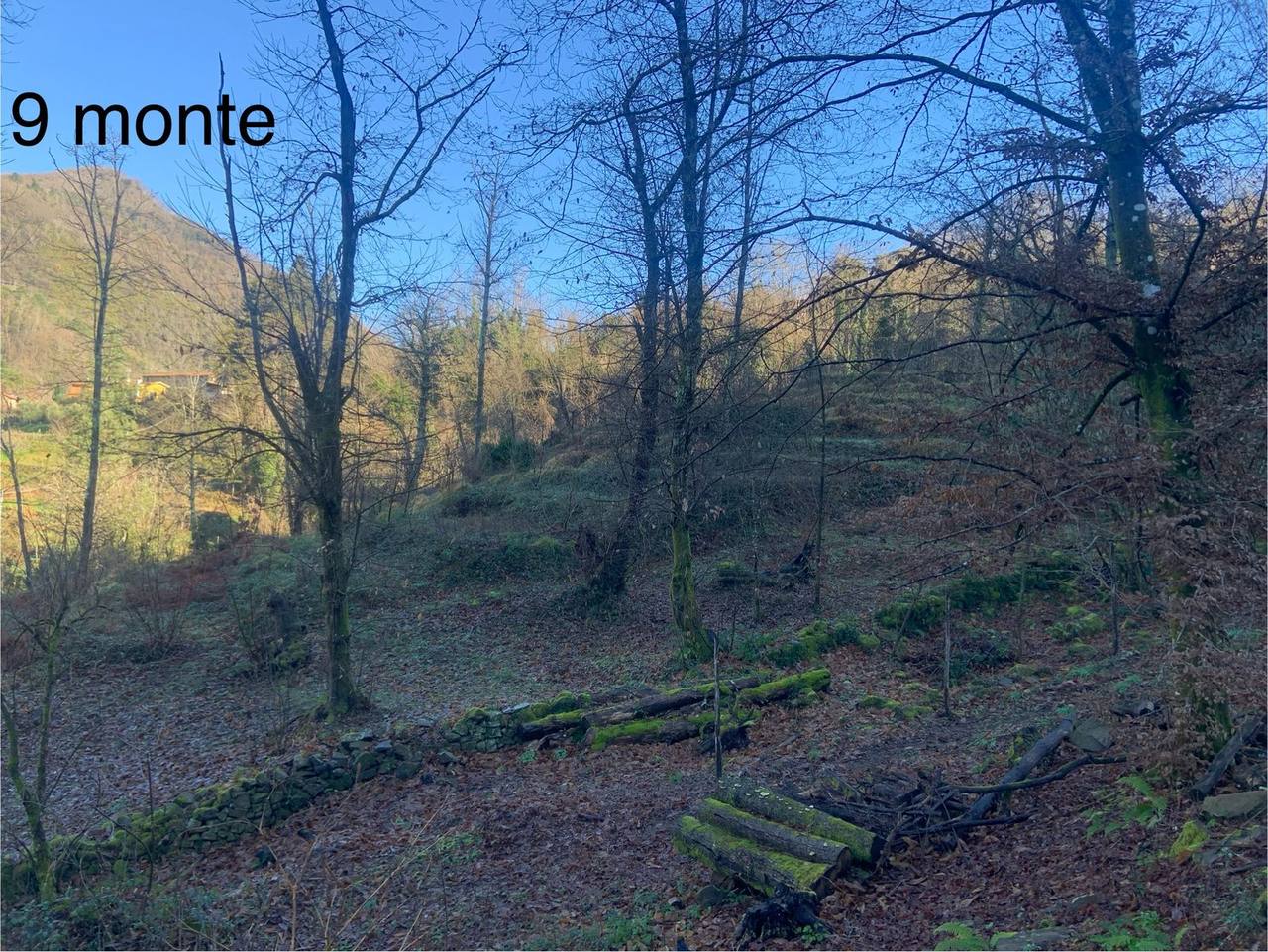 Vista del monte e del torrente